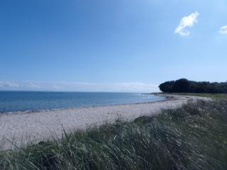 Urlaub Am Meer Im Ferienhaus Mit Sauna - 9