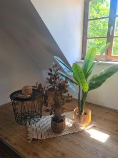 Loft Ferienwohnung - Niederdorla - 8