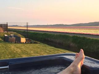 Luxusvilla Ooghduyne Mit Privatem Whirlpool - Julianadorp - 8