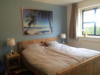 Luxus-Villa, zu Fuß zum Strand, Dünenansicht mit privatem Whirlpool - Julianadorp - 1