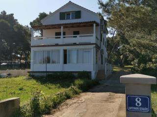 Ferienwohnung für 6 Personen ca 65 m in Ugljan-Batalaza, Dalmatien Inseln vor Zadar - Sušica - 7