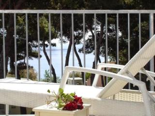 Luxuriöses Penthouse Meerblick, Stilvolle Wohnung Mit Pool - Vodice - 9
