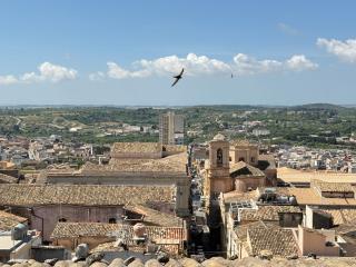 Panorama Suites Noto - Adults Only - 4