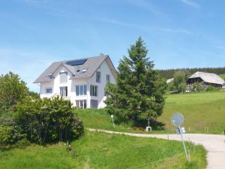 Luxus Appartement In Kappel - Lenzkirch - 0