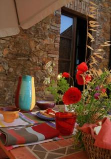 Apartment Mit Offenem Schlafboden Und Garten - Campiglia Marittima - 4