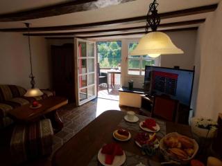 Altes Fährhaus anno 1 6 3 3 - Traumferienwohnung in exponierter Moselufer-Lage - Traben-Trarbach - 4