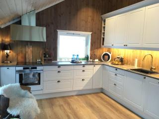 Ski-in ski-out high standard cabin - Oppdal - 2