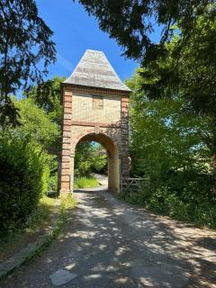 Dartmoor National park, walks, cycling, nature. - Moretonhampstead - 8