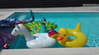 Villa Stella, Pomer, Mit Pool, Sauna Und Whirlpool - Pula - 5