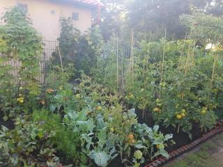 Ferienwohnung In Żarnowska Mit Grill Und Garten - Żarnowska - 6