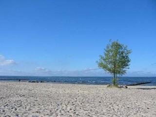 Appartement In Ueckermünde Mit Botanischem Garten - Ueckermünde - 7