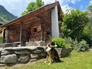 Ferienhaus Romantik in Flattach - Flattach - 0