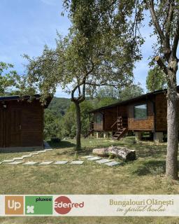 Bungalouri Olanesti - Băile Olăneşti - 9