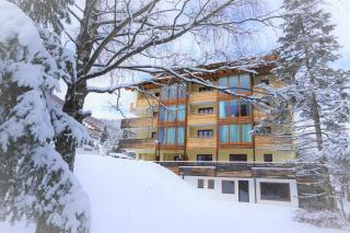 Ferienwohnung Design Chalet in Bad Kleinkirchheim - Bad Kleinkirchheim - 8