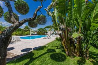 Poggio Trullo Mit Pool - San Vito dei Normanni - 8