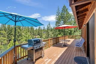 The Big Easy Lakefront Cabin - Groveland - 7
