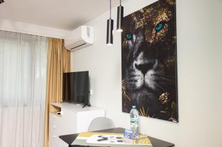 The Lion's home - Домът на лъва - Varna - 1