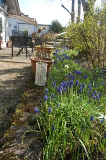 Ferienhaus In Rothhelmshausen Mit Grill, Terrasse Und Garten - Fritzlar - 5