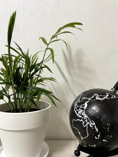 Quiet and spacious 1-bedroom apt in Gangnam - Seul - 5