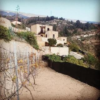 Casa con bodega tradicional y jardin privado en Arico Pet Friendly - Arico - 9