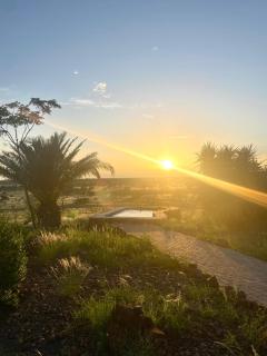 Boscia African Farm - - 9