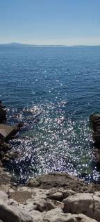Seaside Cottage Toma - Ivan Dolac - 5