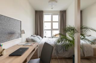 MILESTONE Krakow Center Student Living - Krakau - 9