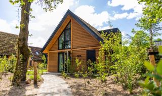 Bos Villa met Hottub & Sauna | 8 personen - Wekerom - 9