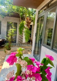 Homestay Buôn Mê 2 - Buôn Ðũng - 3