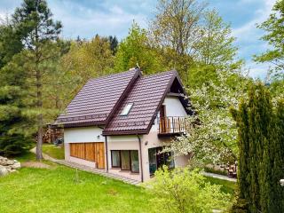 Apartament W Dolinie Modrzewi - Kamienna Góra - 0