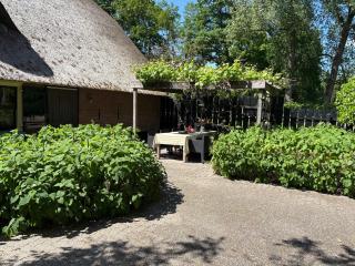 Luxe Hofstede met paardenstalling - Lunteren - 2