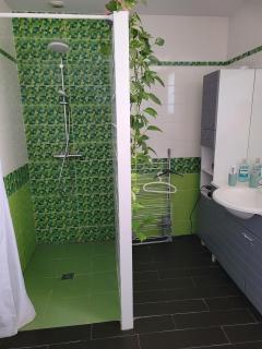 Les lauriers - 3 bedrooms, hyper-centre and pool - Castres - 7