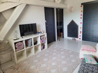 Les lauriers - 3 bedrooms, hyper-centre and pool - Castres - 3