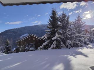 Chaleureux 3 pièces pour 4 pers avec terrasse aux Allues, proche ski et commerces - FR-1-411-624 - Les Allues - 1
