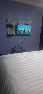 promise hotel gbagada - Lagos - 2
