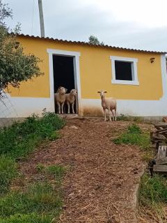 Casal da FontAgrão - Rio Maior - 6