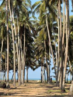 Katadi beach homestay - 9