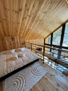Norway Cabins - Sinaia - 9