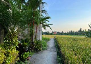 Puri Galih Villa - Ubud - 4