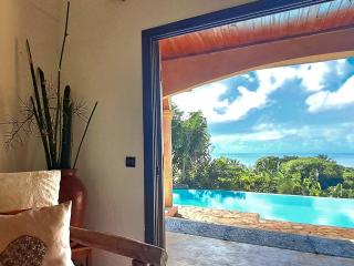 La VILLA ANKARENA Dans un domaine forestier tropical, PROPRIÉTÉ ENTIÈRE avec PISCINE PRIVEE, Wifi, TV Plage à 5 minutes à pieds - 3