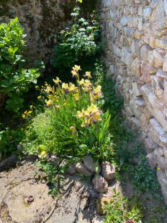 Ferme Fleurie - 2
