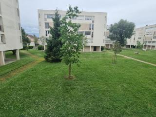 Appartement à Talence, T4 proche de Bordeaux - Talence - 8