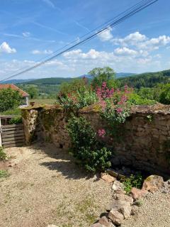Ferme Fleurie - Bergesserin - 7