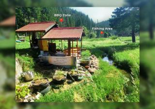 ВИЛА ПЕРИКА-Vila PERIKA - Borino - 9