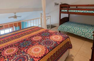 Perfect Spotts - Savannah - 7