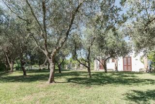 Il Giardino Dei Gelsi Otranto - Otranto - 7