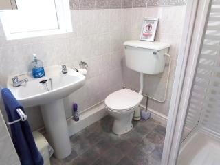 Kingfisher Cottage Newcastle Emlyn - Newcastle Emlyn - 4