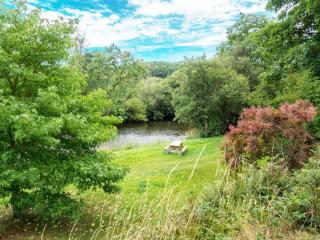 Kingfisher Cottage Newcastle Emlyn - Newcastle Emlyn - 9
