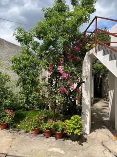 Filip - Mostar - 8