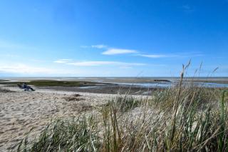 Water Views Walk to Beach Dogs Welcome - Brewster - 8